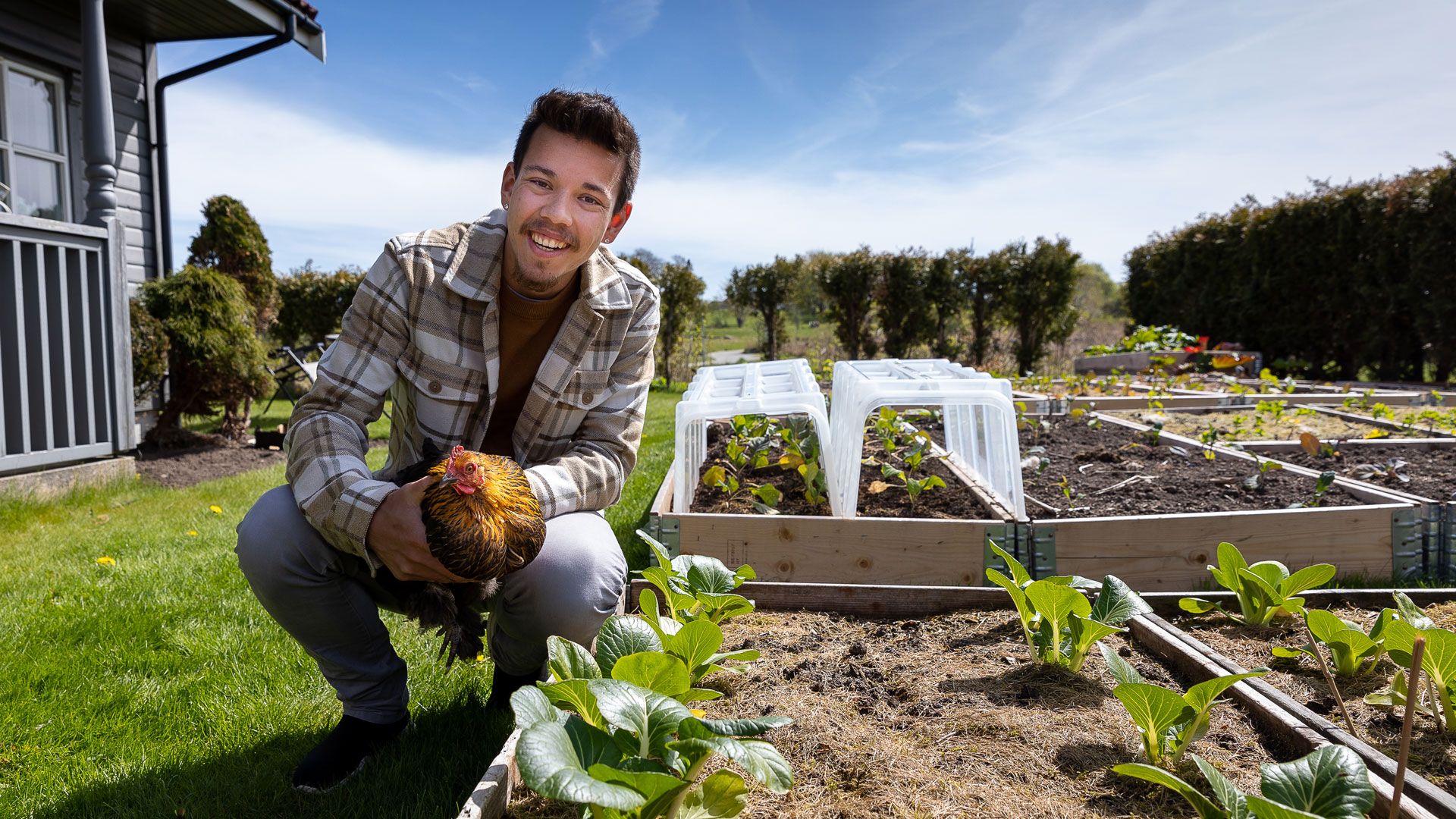 Dennis Asbjørnsen holder en hane ved kjøkkenhagen sin