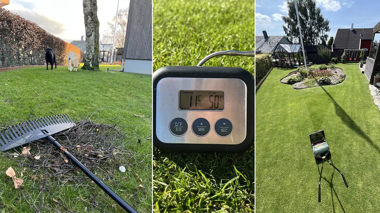 kollasj med rive, temperaturmåler og gressplen