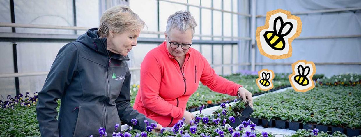 gartneriet på selvåg gartneri