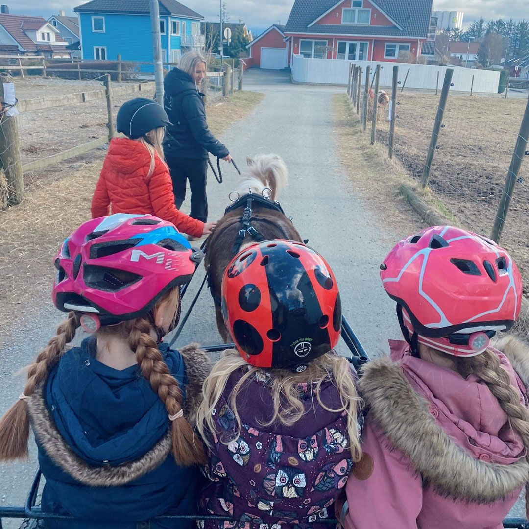 Brun miniatyrhest trekker vogn med barn oppi