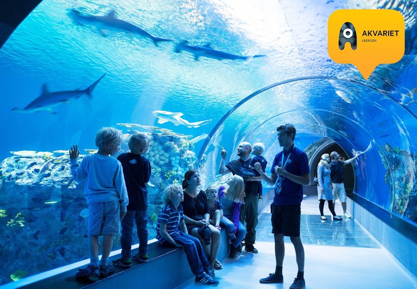 Havtunnel i Akvariet i Bergen