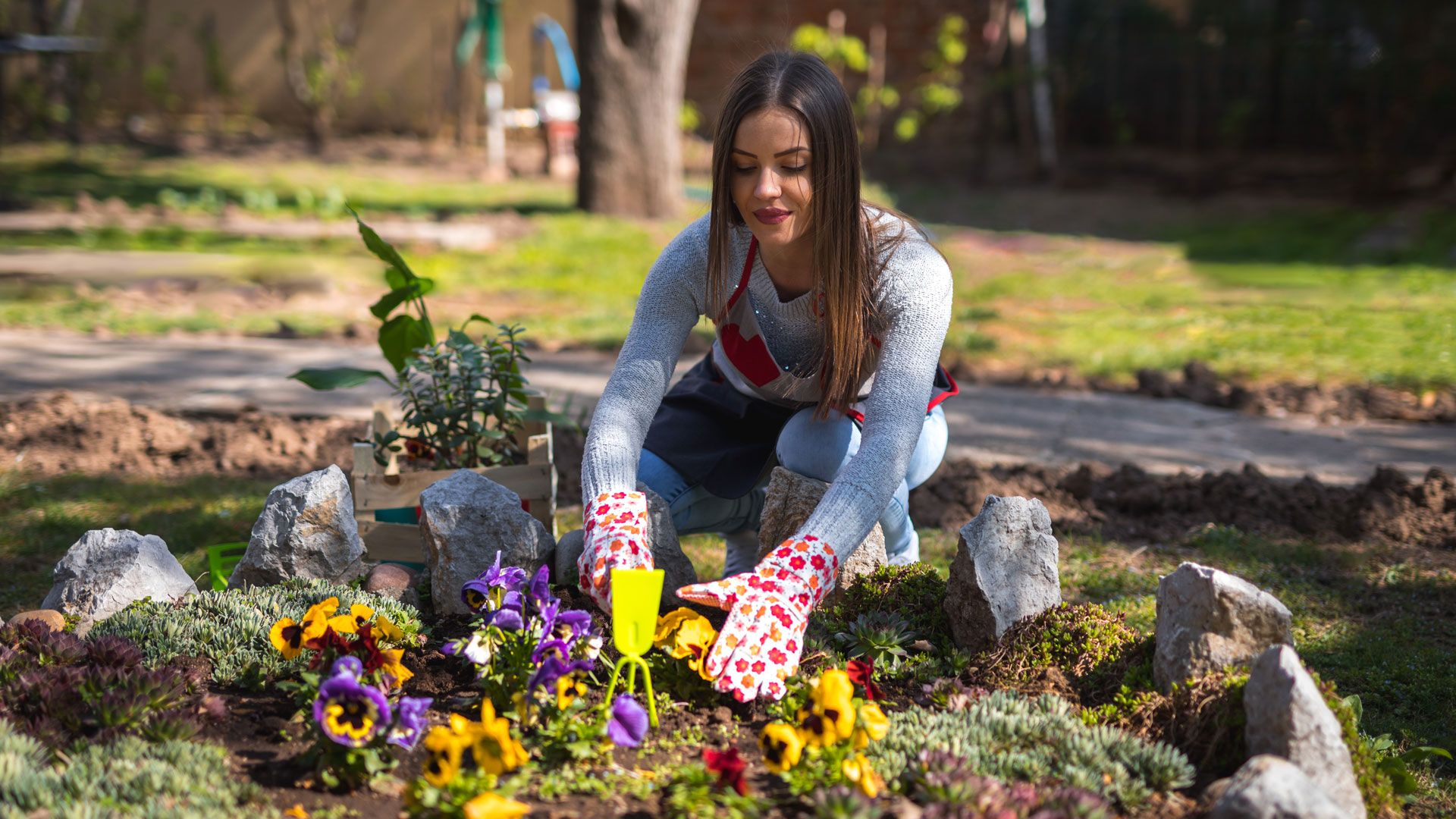 Dame luker i bed med stemorsblomster