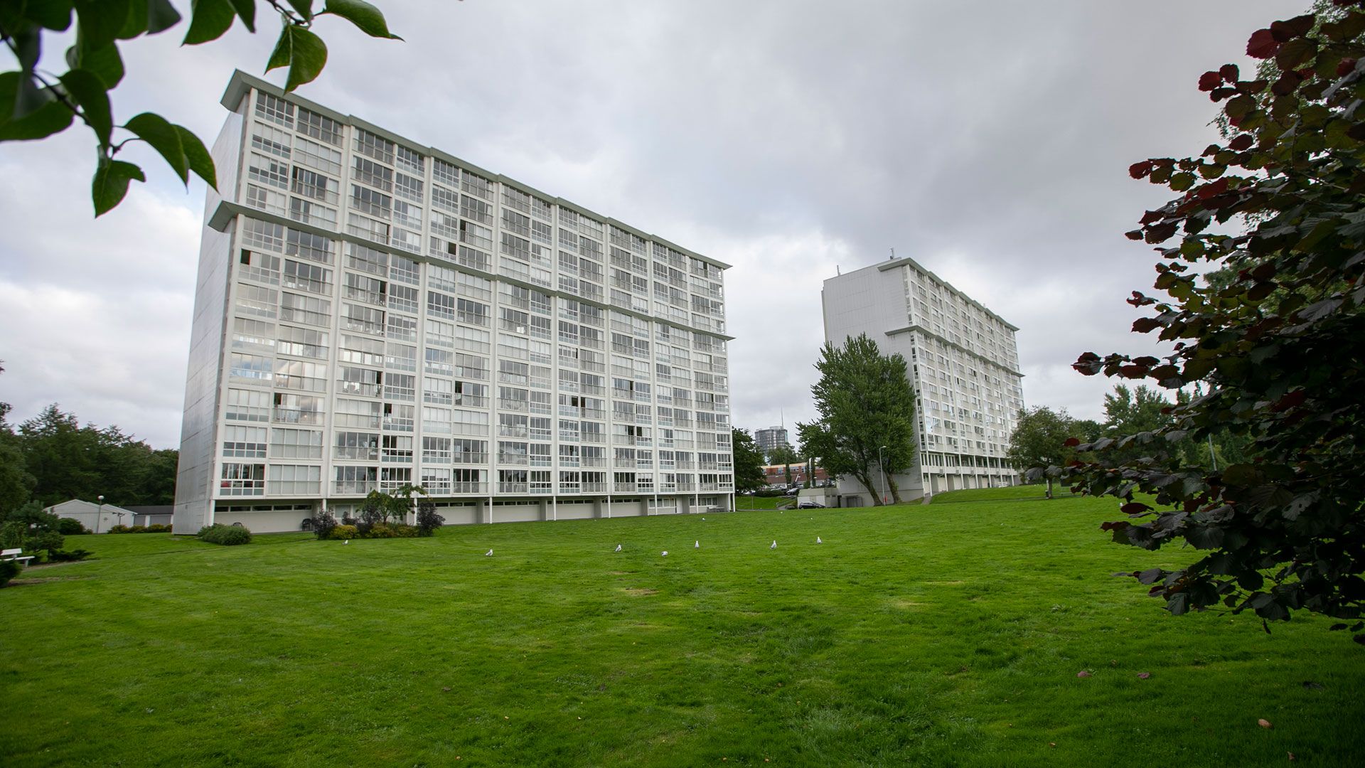 To blokker som tilhører Borettslaget Limberget