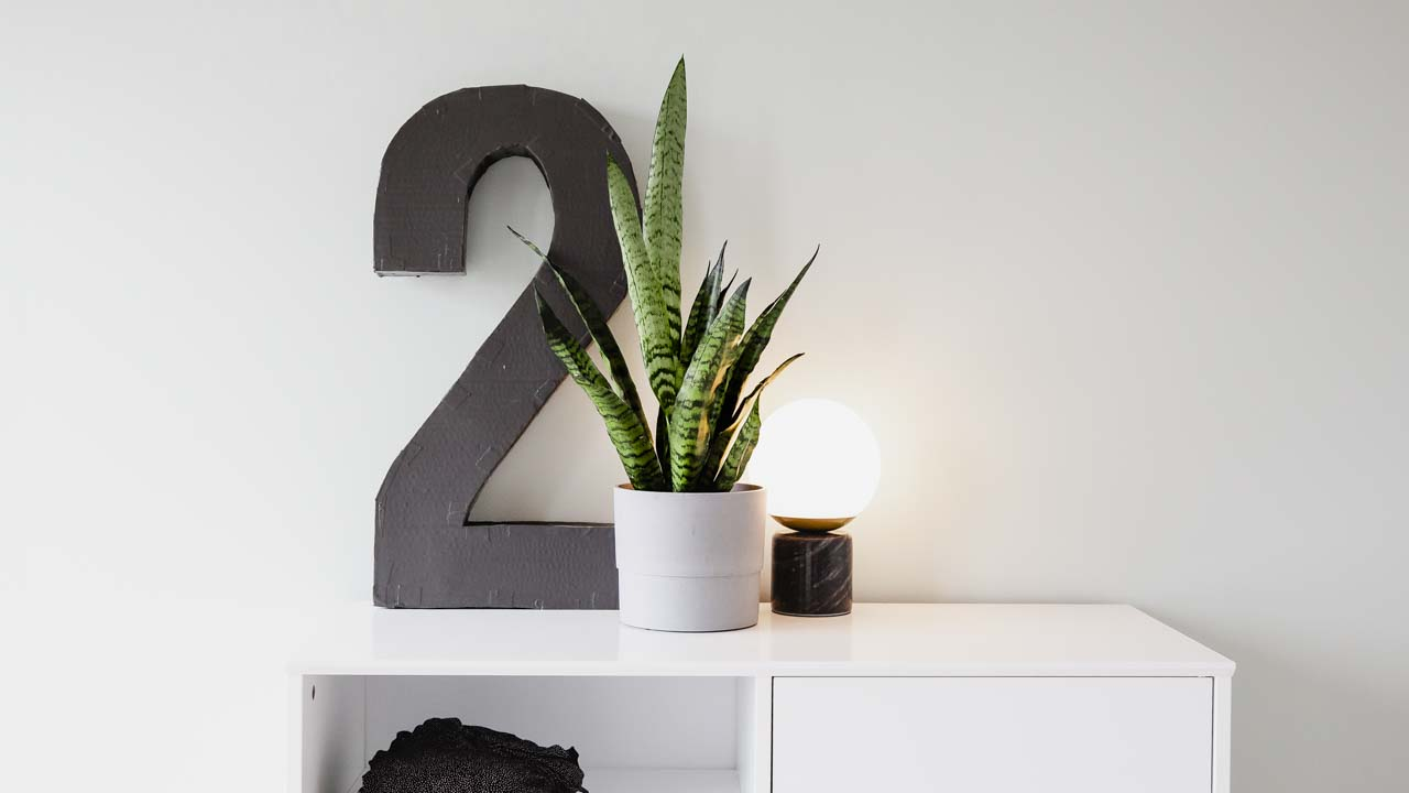 svigermors tunge på en kommode