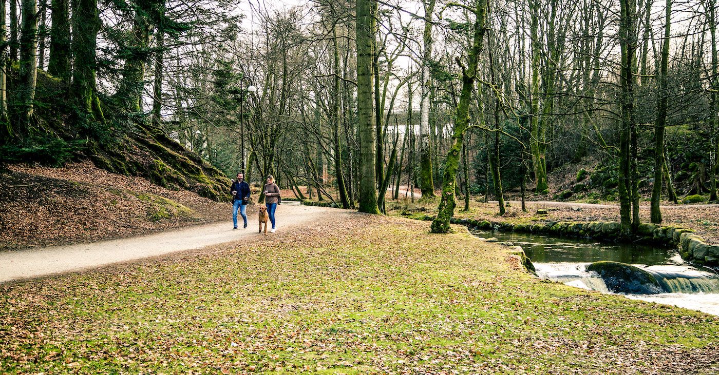 Par med hund i Sandvedparken