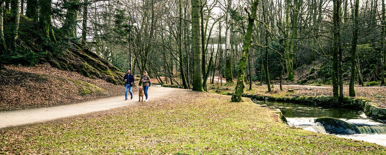 Par med hund i Sandvedparken