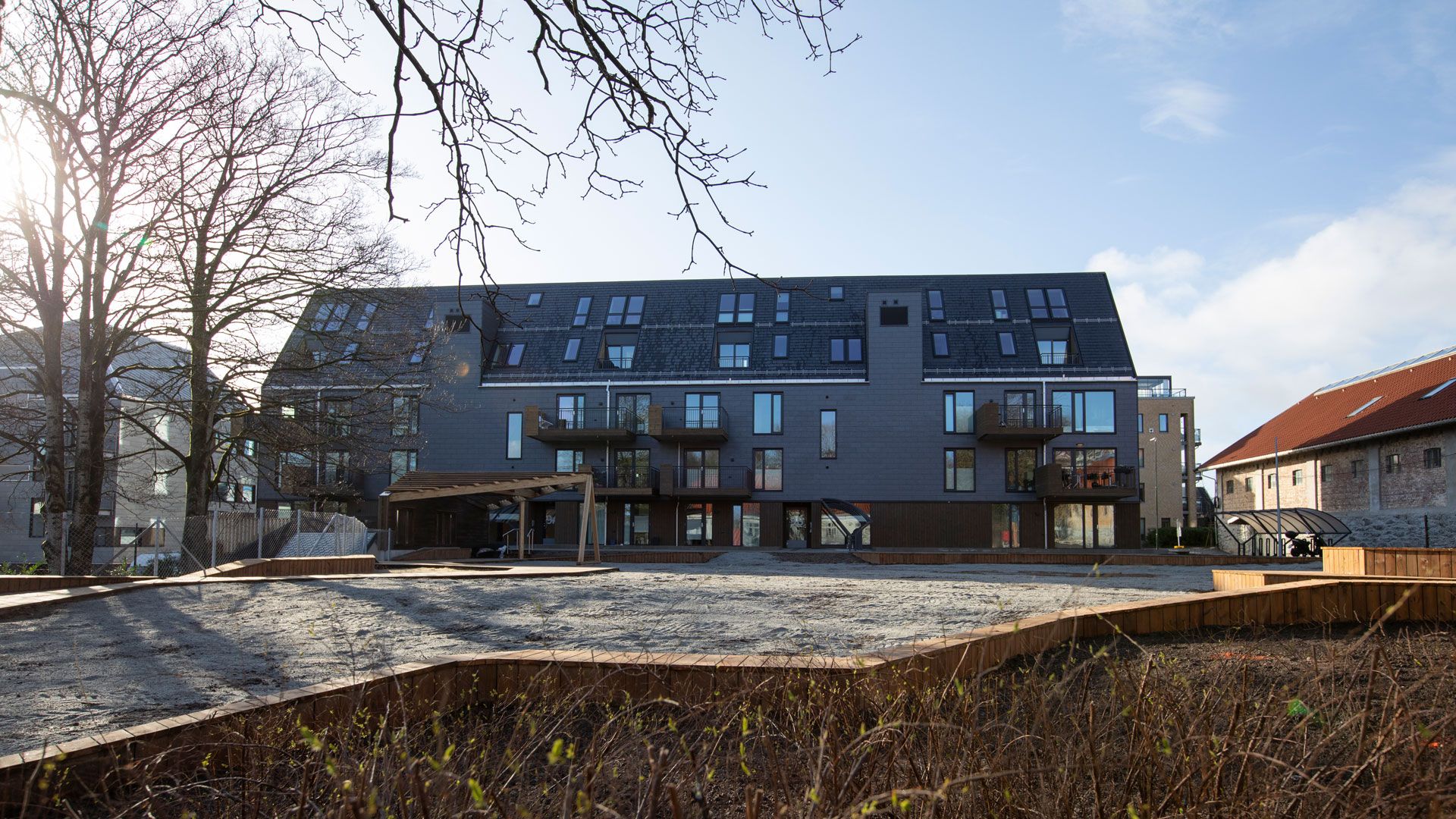 Fridas hage vinteren 22