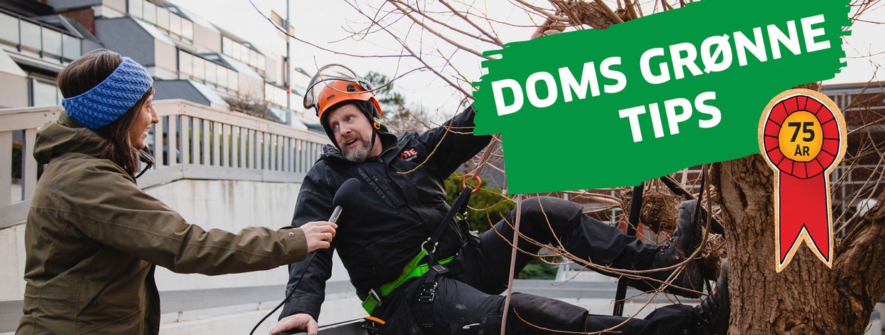 Gartner Dom Hocken i Bate blir intervjuet av Samina Bruket fra Impress publisering