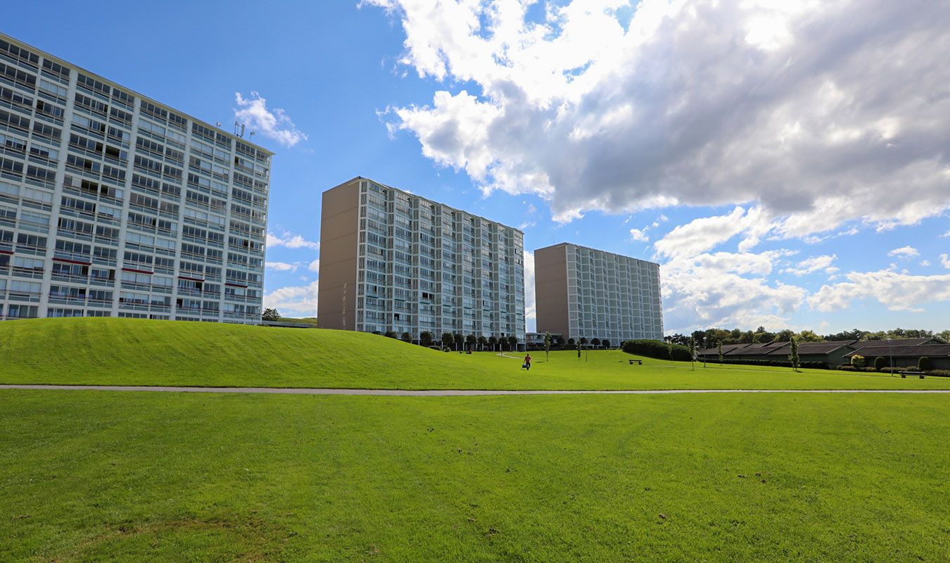 Uteområdet i Madlamark