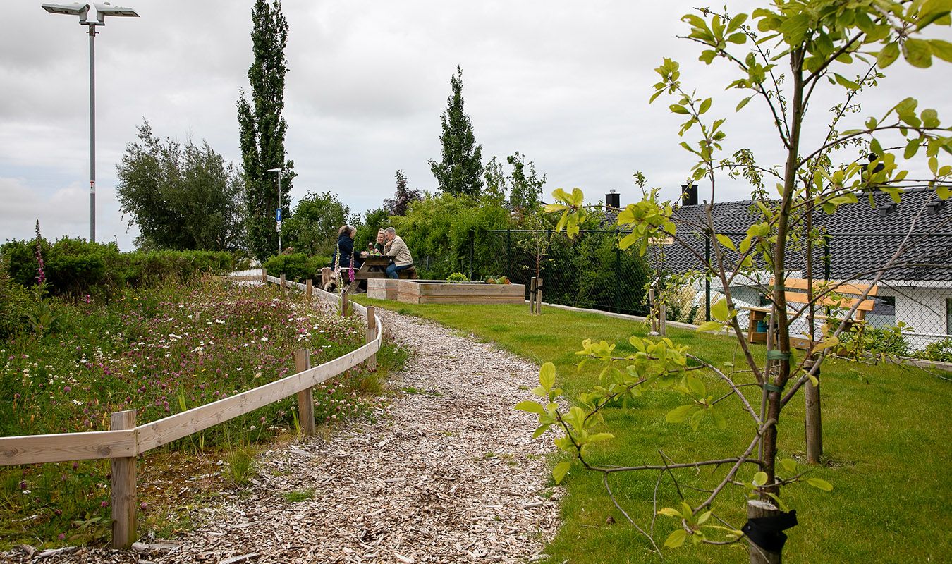 Stien og frukttrær i Høgevollsveien borettslag