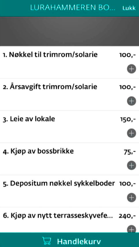 skjermbilde av vipps