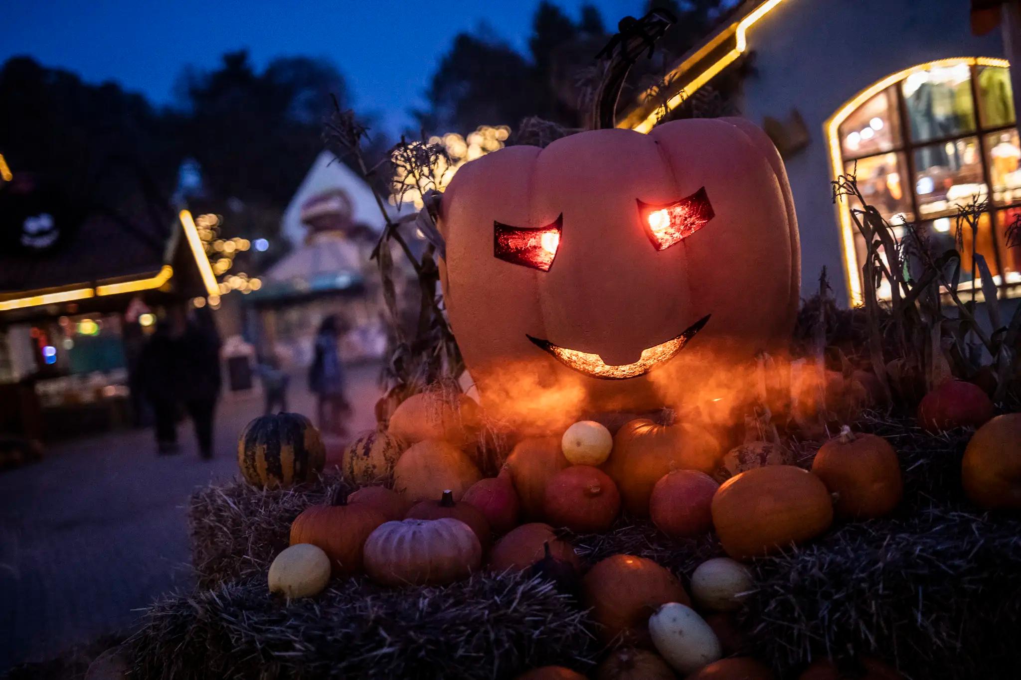 halloween-gresskar med lys i øynene i kongeparken