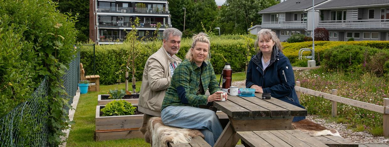 Styret i høgevollsveien borettslag