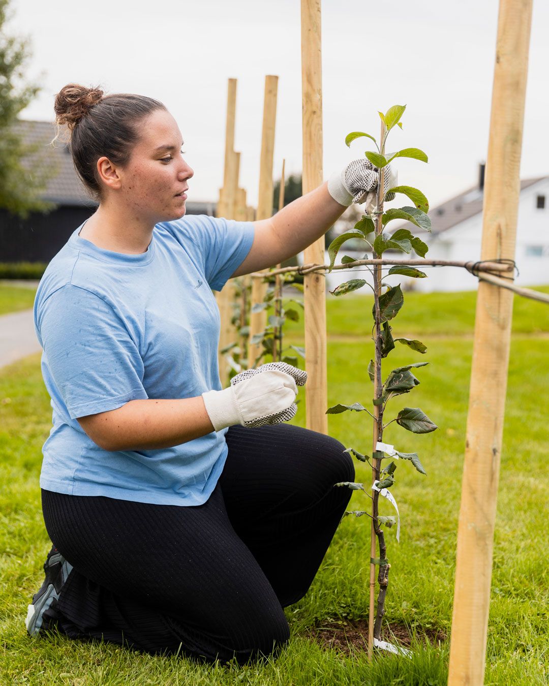 Cecilia Firinci i Lye Borettslag