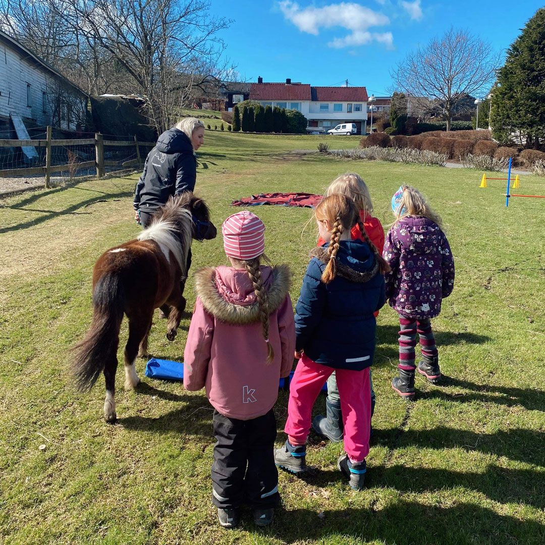 Miniatyrhest på beite med barn