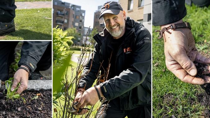 kollasj gartner hagearbeid