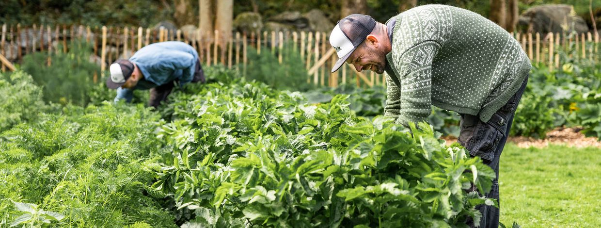 Sven Are Ek og Ynge Sortland i ByAuk