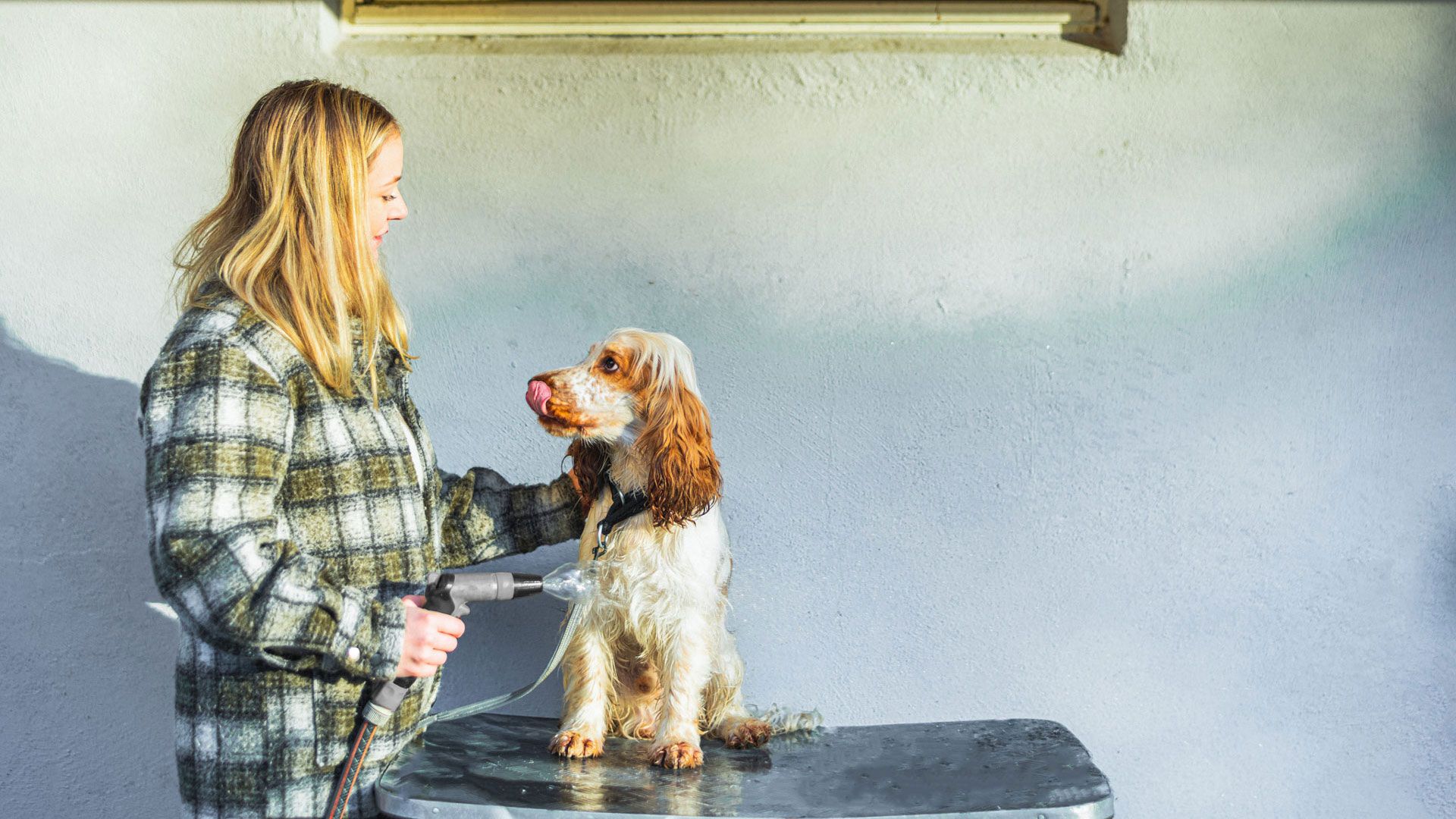 I Skogens ro er det egen hundedusj i garasjen