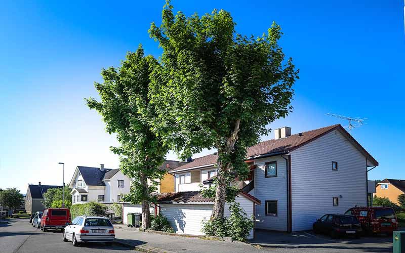 ungdomsboliger på storhaug