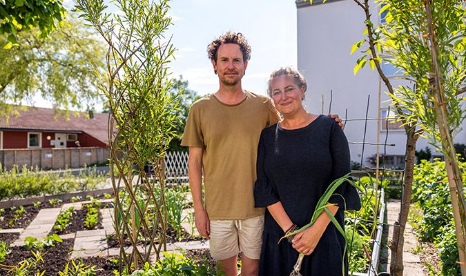 Seehusens gate sin hage