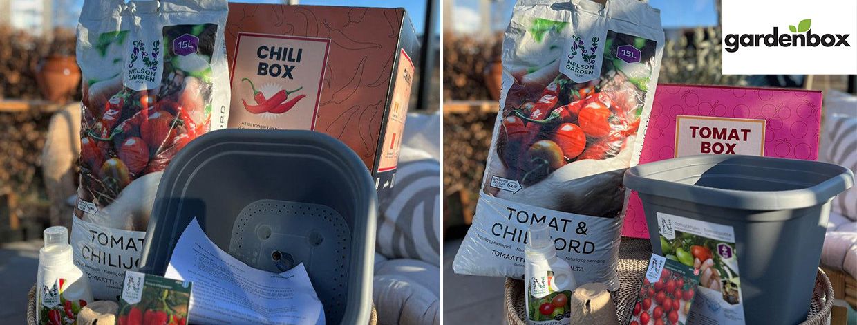 innhold i chilibox og tomatbox