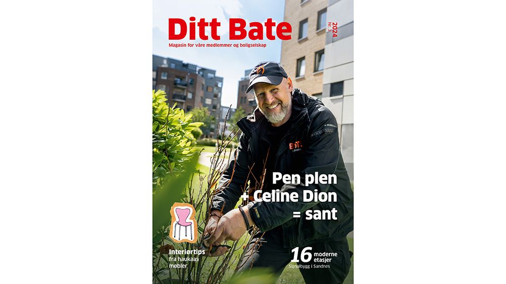 Ditt Bate 3 - 2024