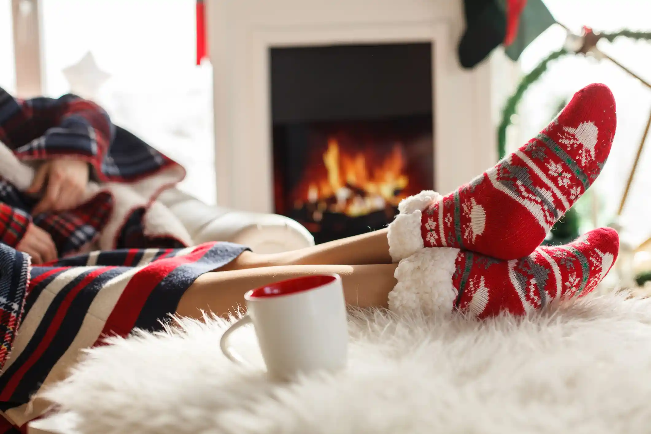 Happy Holidays from Clearwater Park!