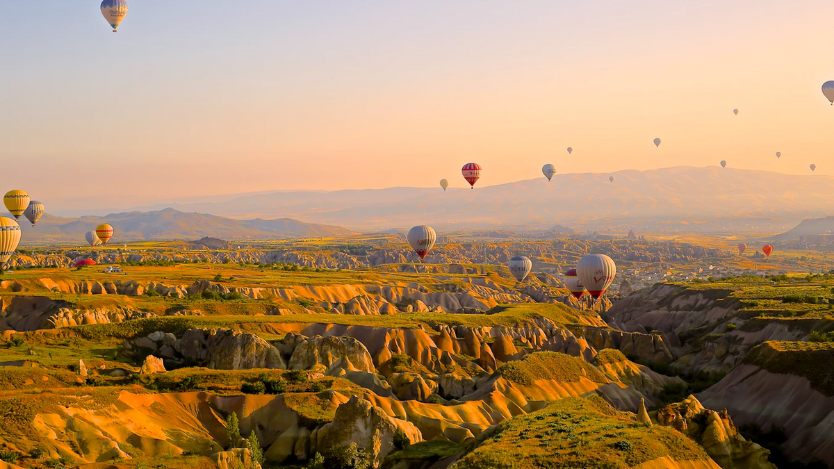 Balloons over landscape