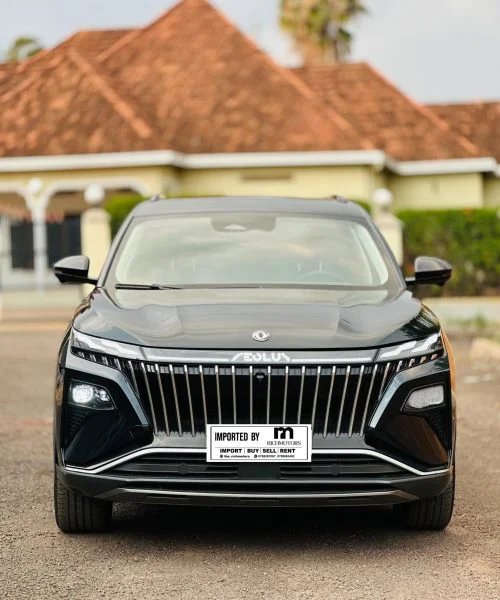 2023 DongFeng Hi-Tech SUV