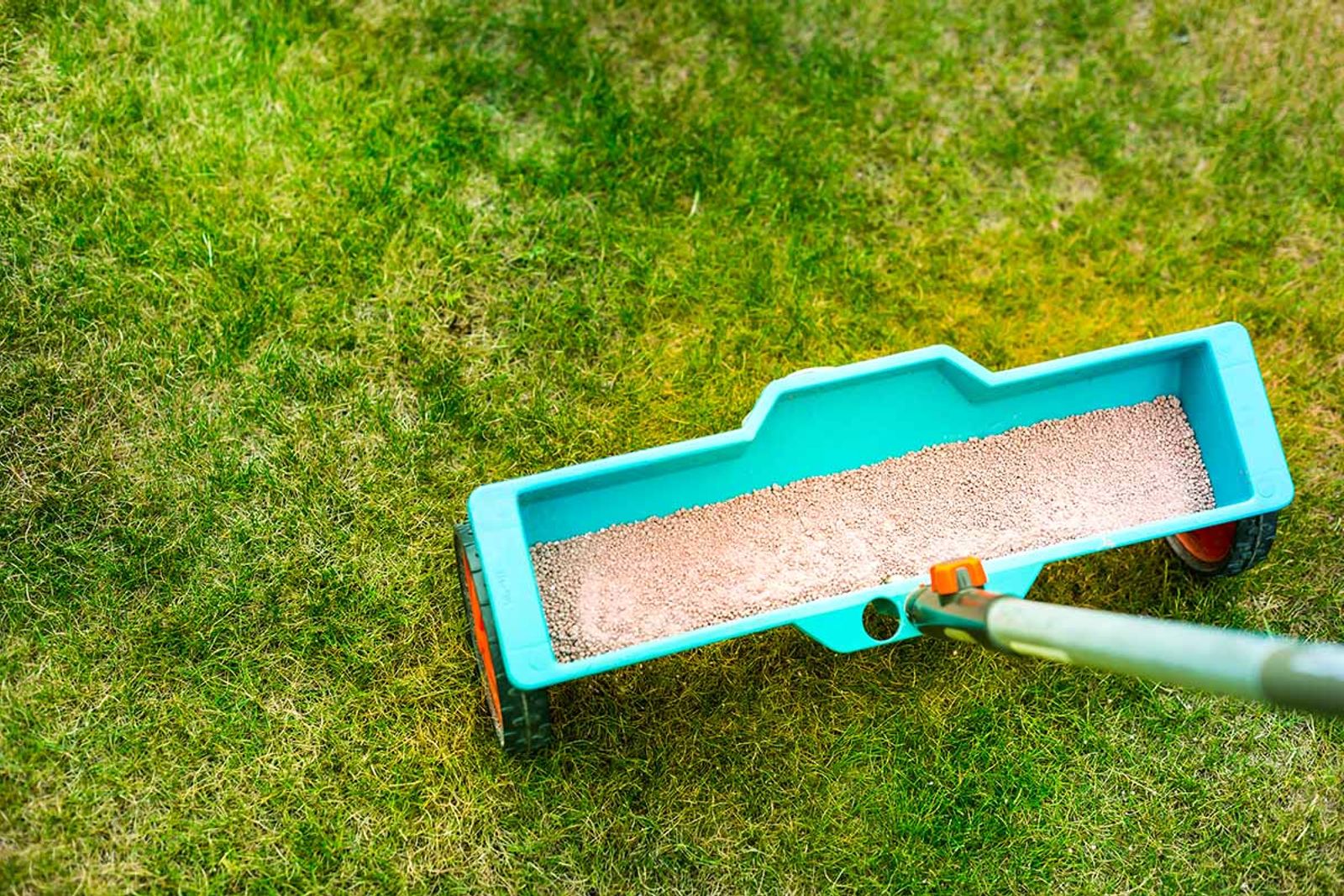 Lawn Care