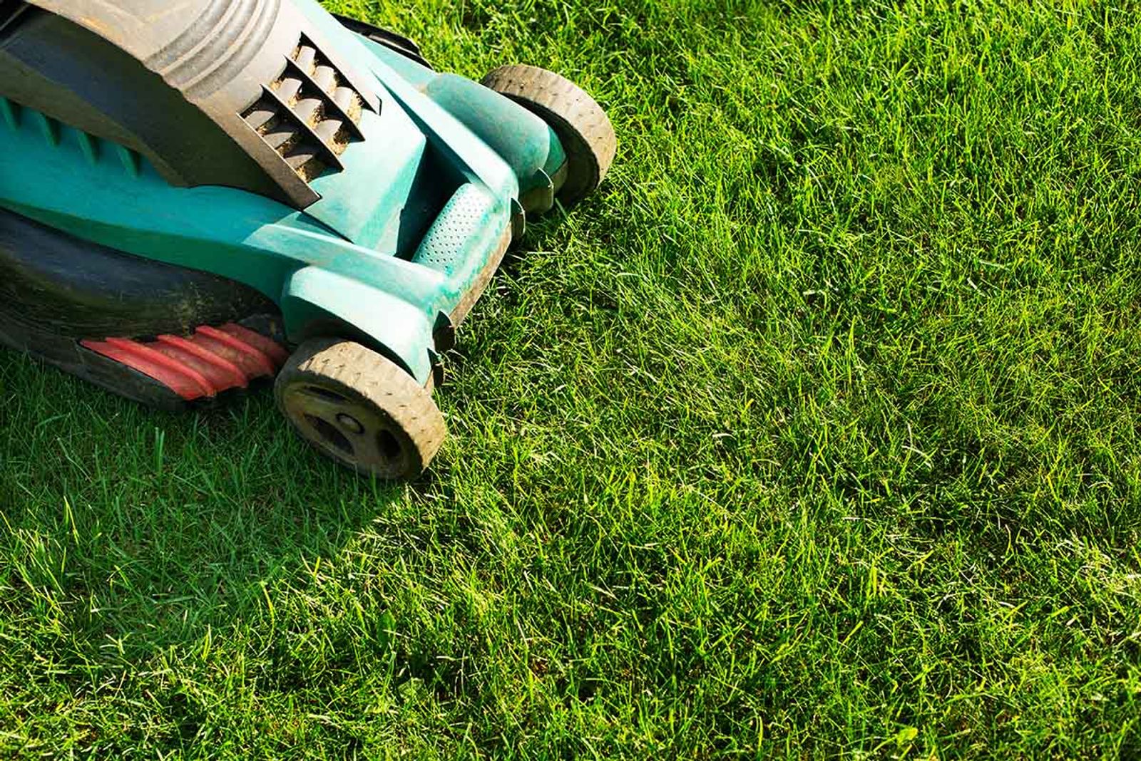 Lawn Care