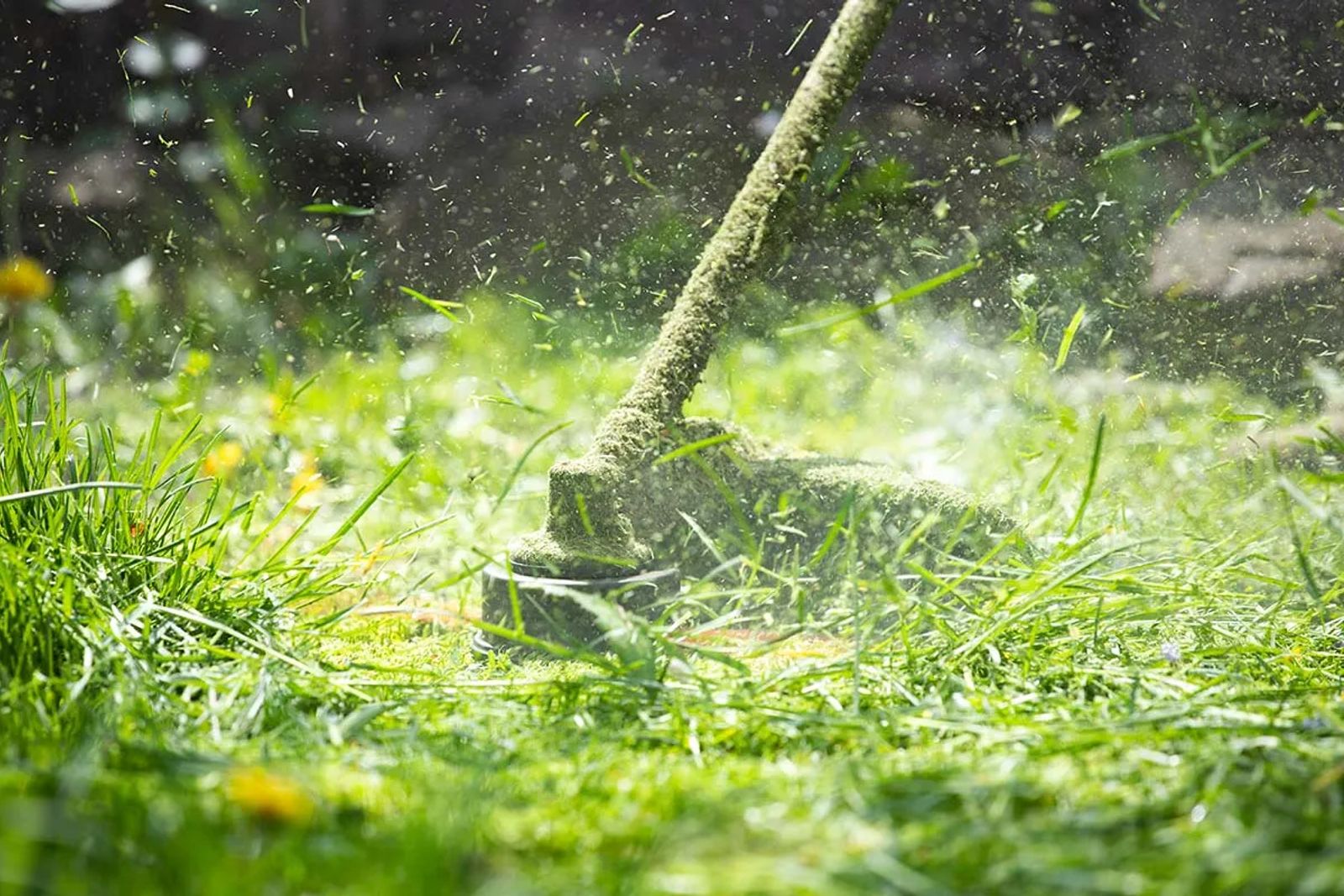 Grass Cutting