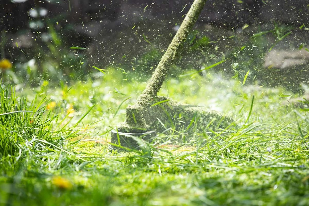 Grass Cutting