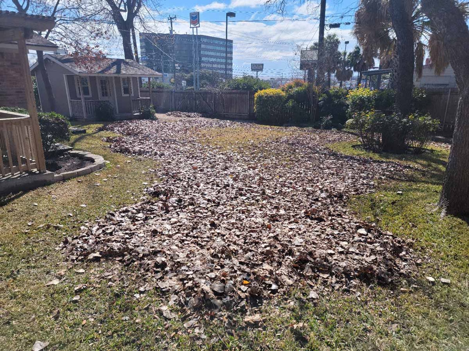 Yard Cleaning