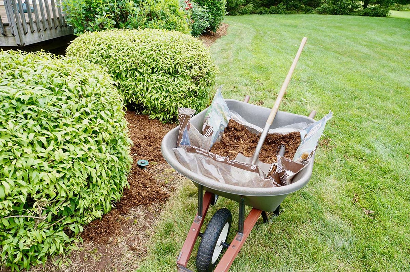 Mulch Installation