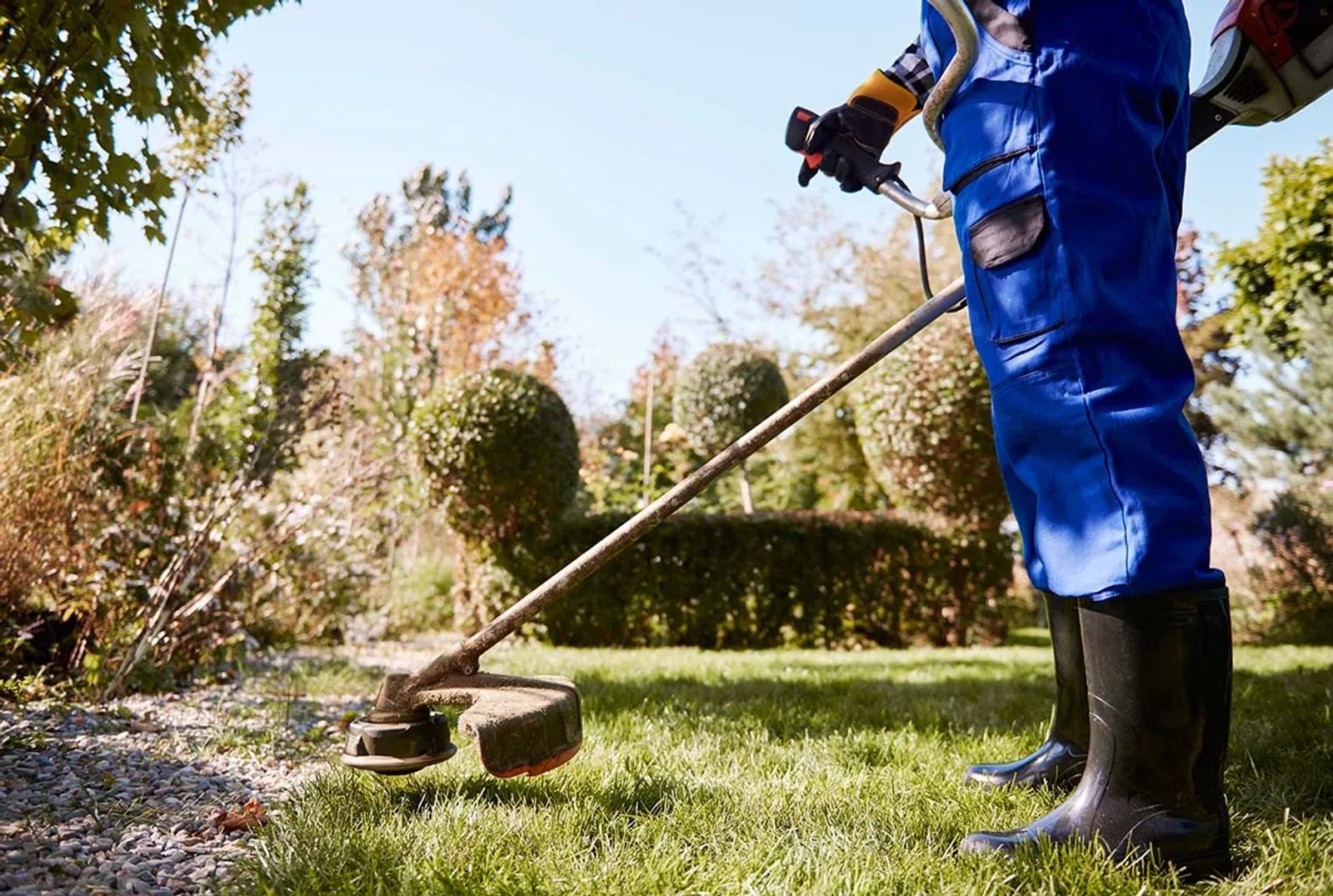 Grass Cutting