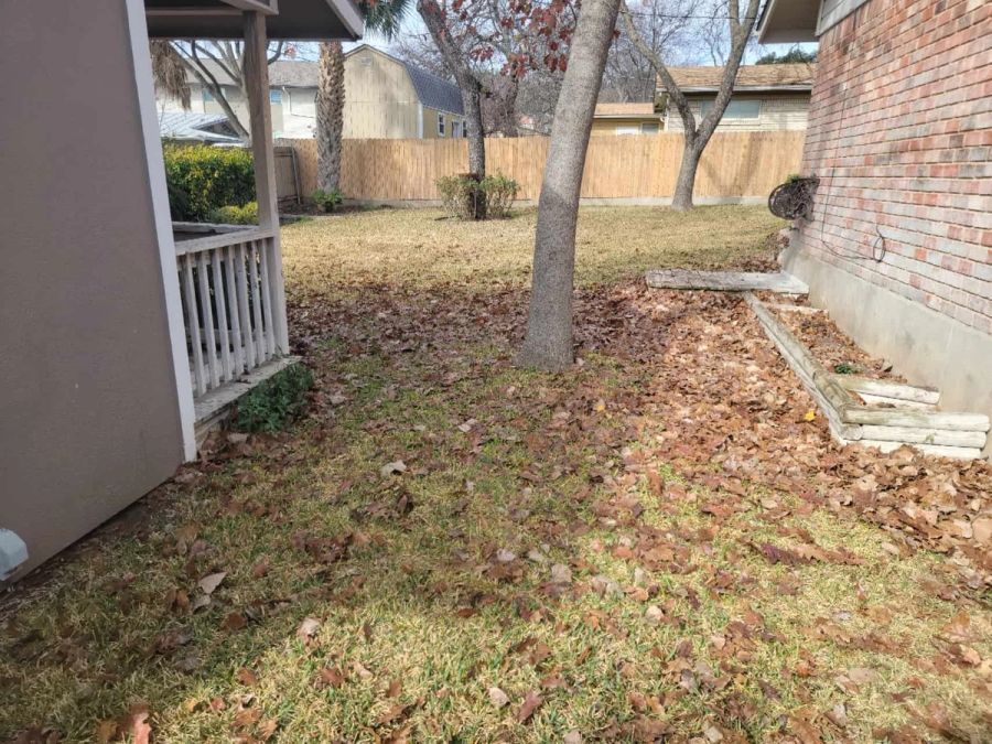 Yard Cleaning