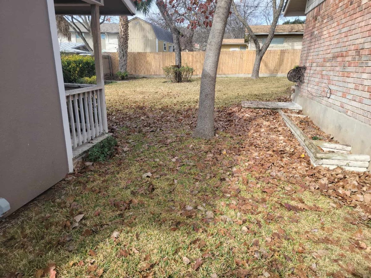 Yard Cleaning