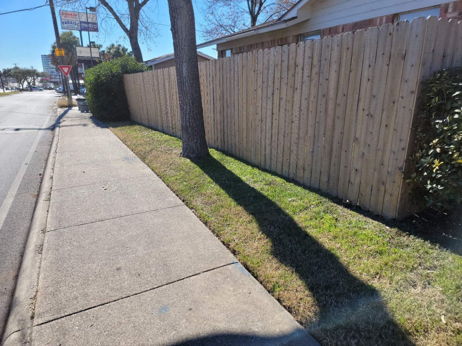 Leaf Clean-up