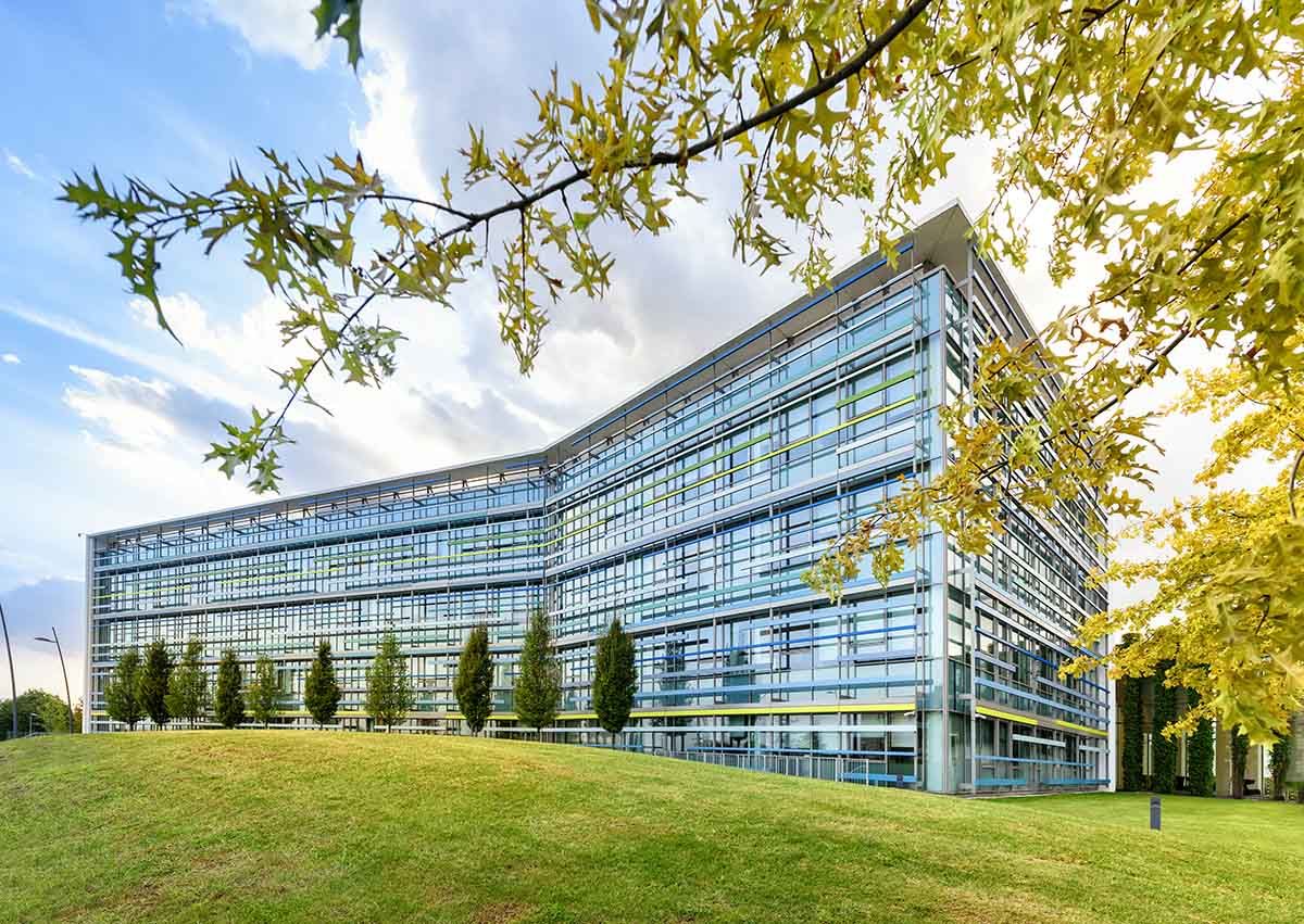 Maximizing Curb Appeal: The Transformative Power of Professional Lawn Care