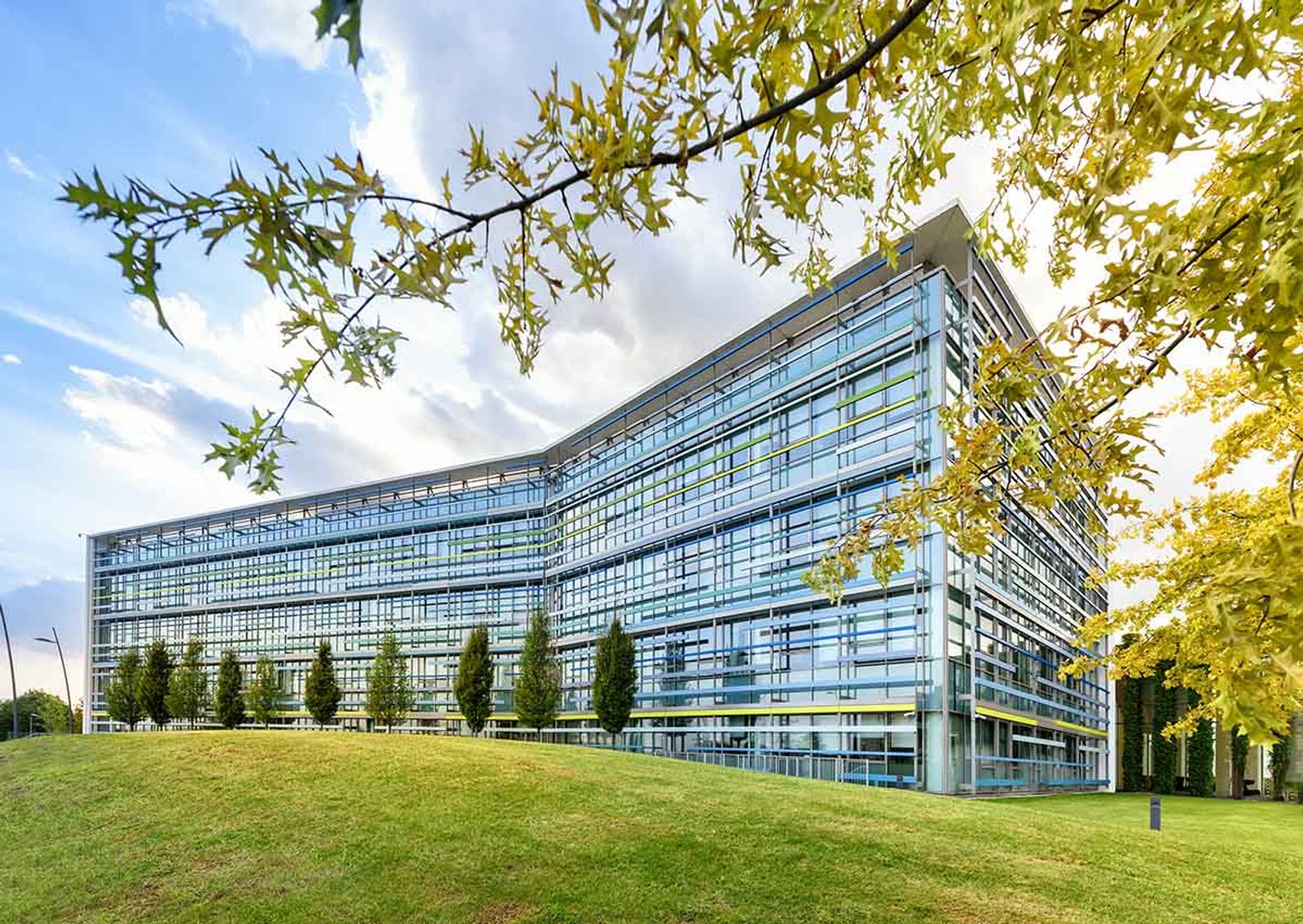 Maximizing Curb Appeal: The Transformative Power of Professional Lawn Care