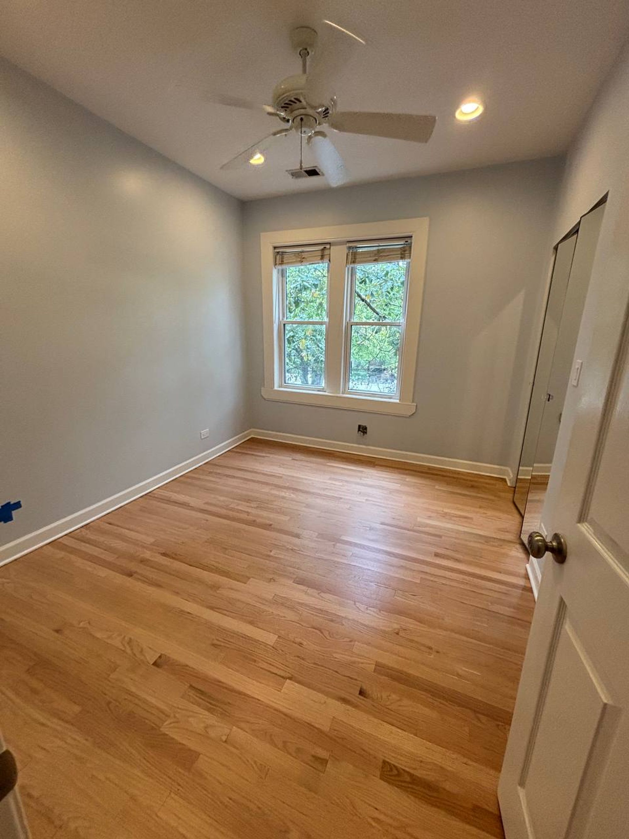 Empty bedroom with ceiling fan, two windows and light oak floor