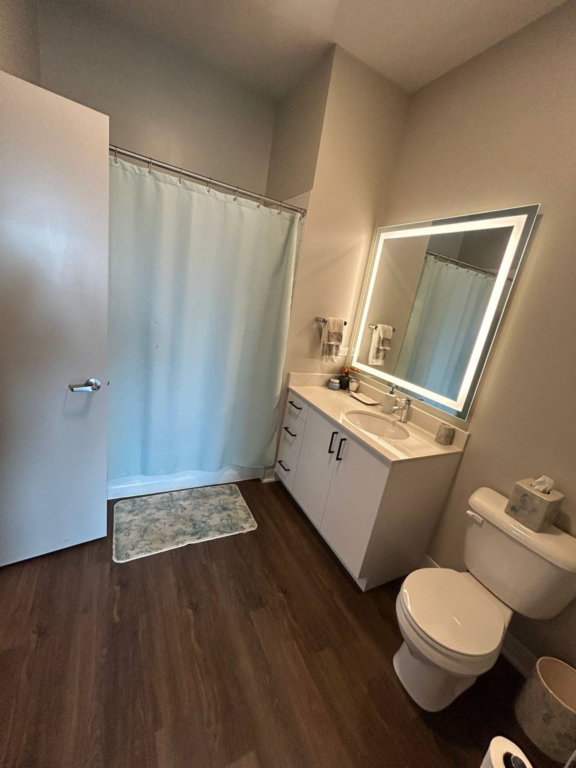 Bathroom with lighted mirror, white vanity, toilet and shower curtain