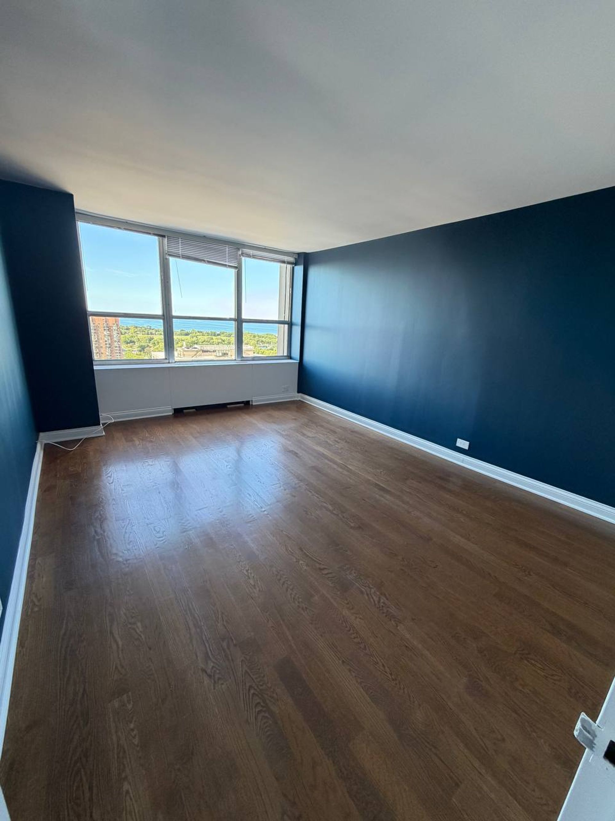 Empty bedroom with navy walls, dark wood floor and wide windows