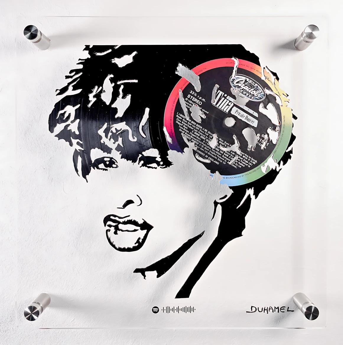 Portrait de Tina Turner