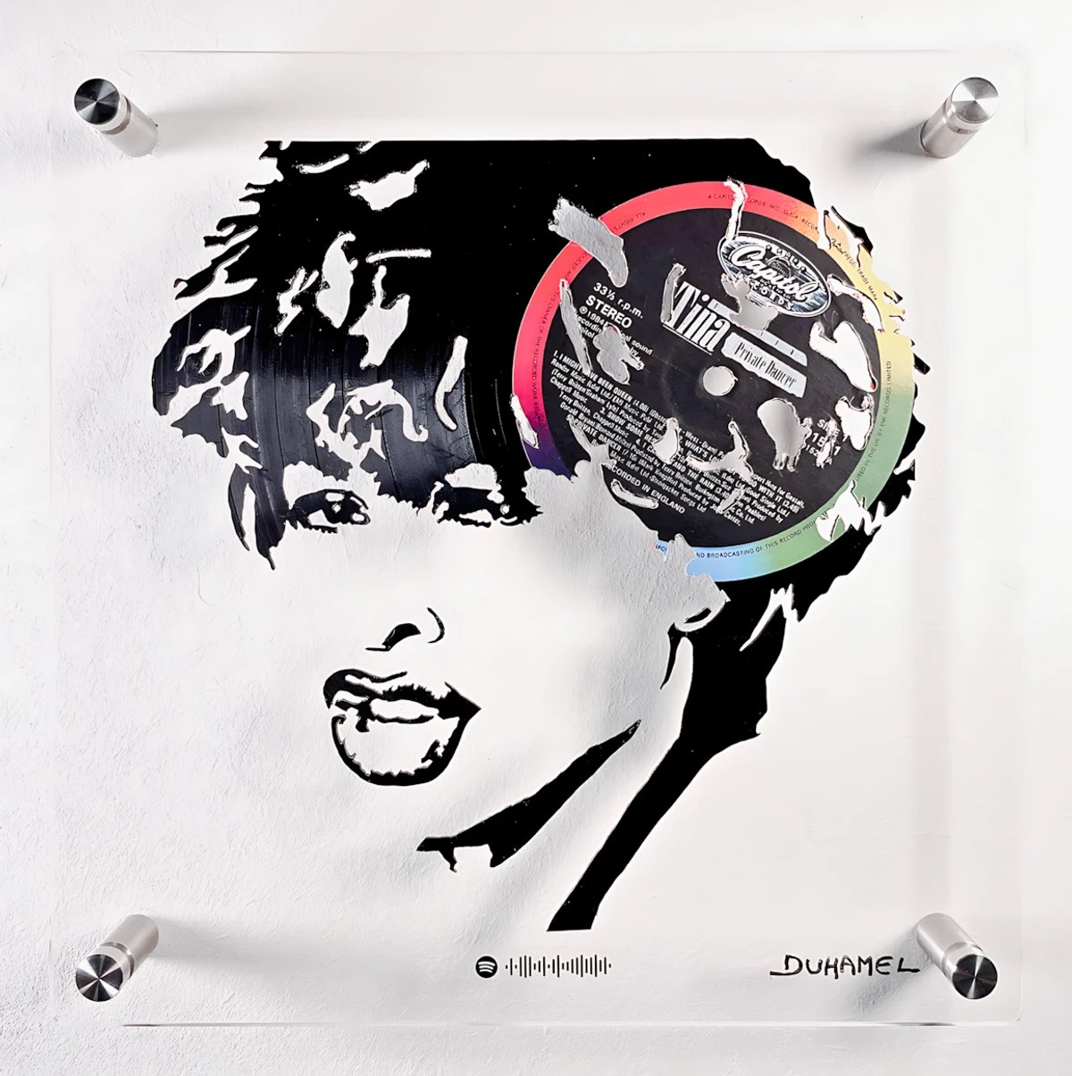 Portrait de Tina Turner par Yannick Duhamel