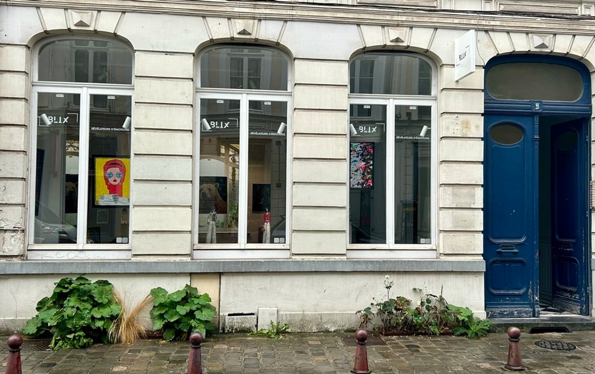 Ouverture de votre Galerie - vue 1