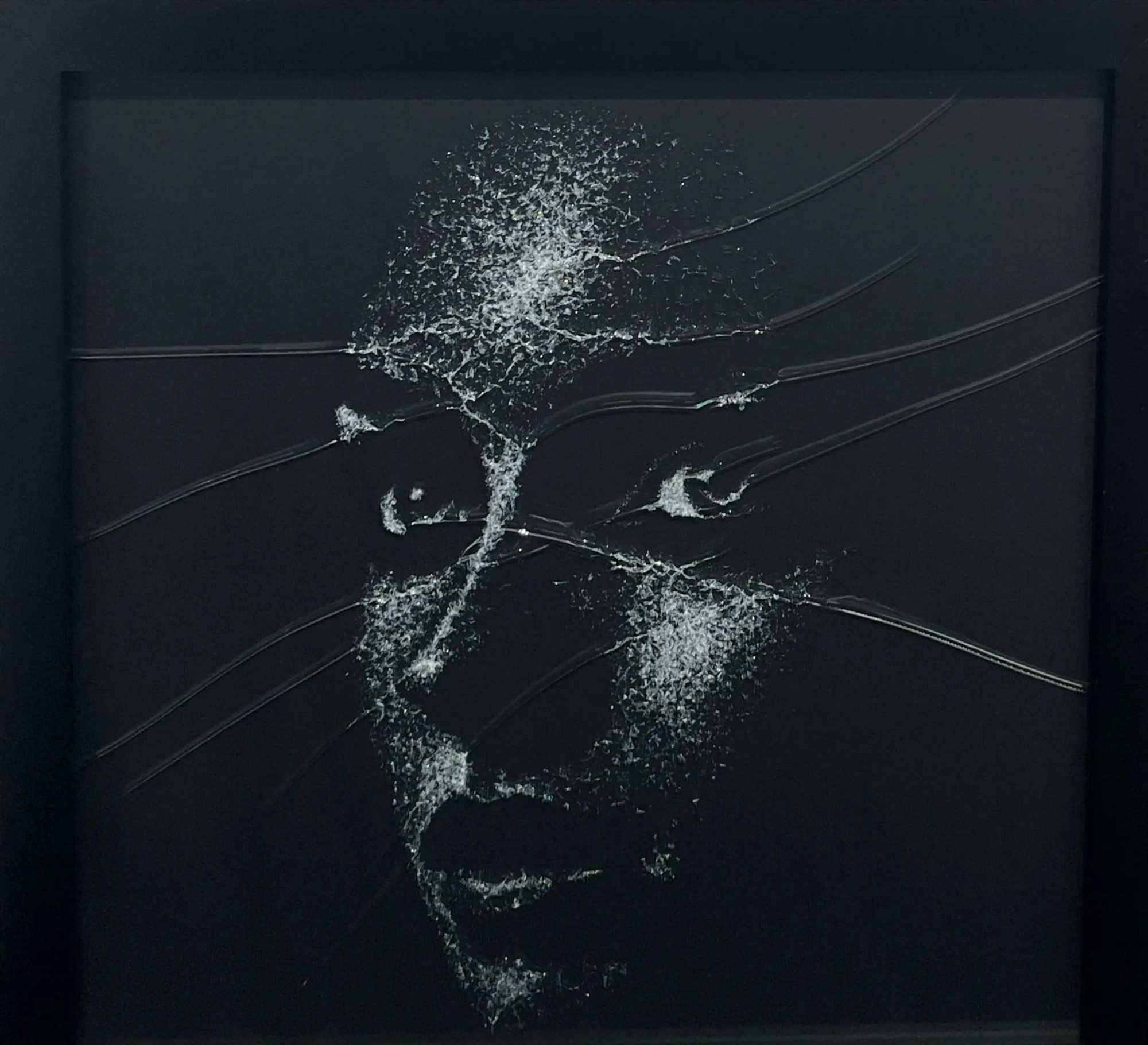 Portrait d'une femme réalisé en brisant du verre