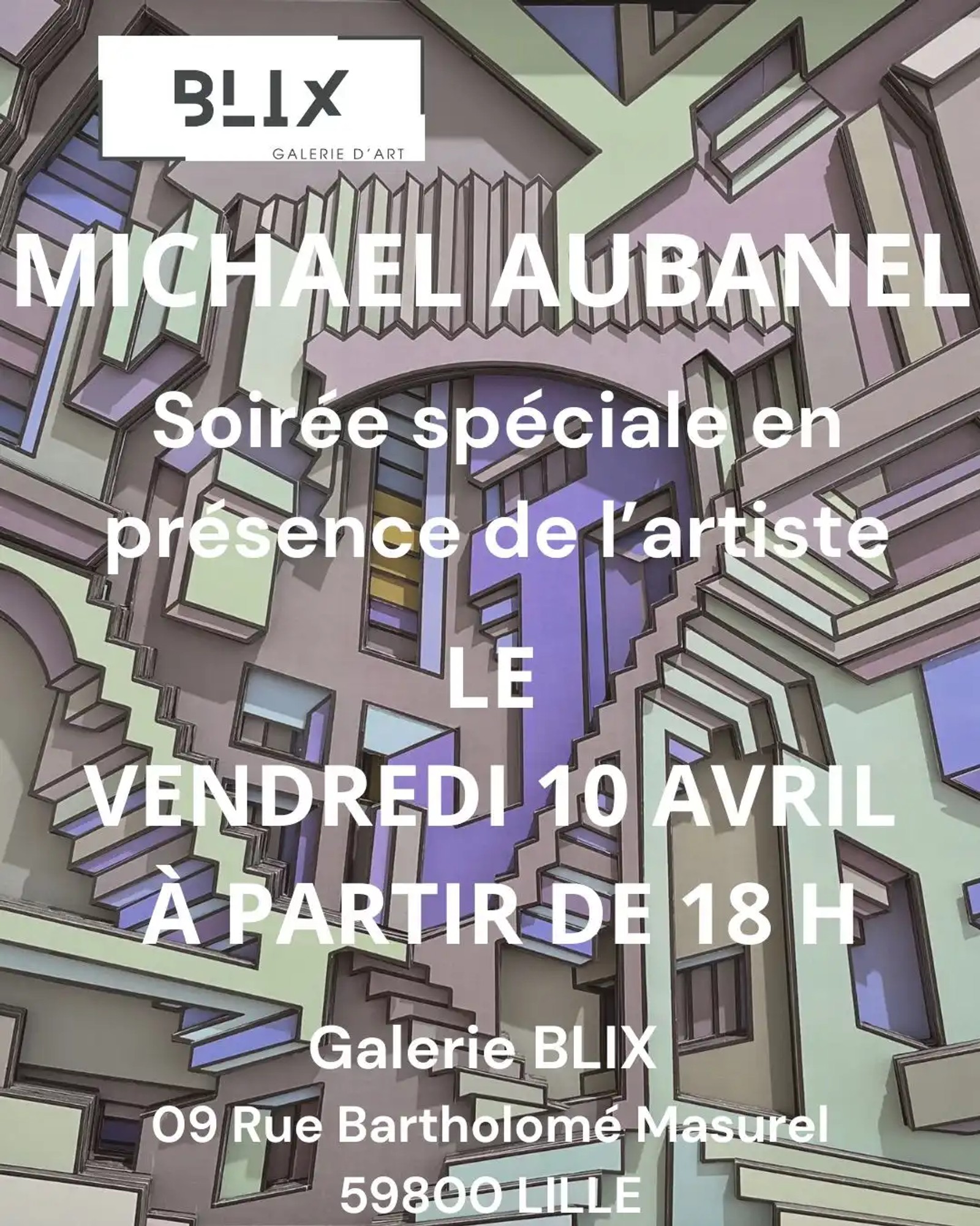 Vernissage avec Michaël Aubanel