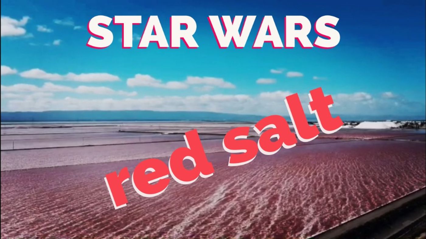 Red Salt Rva Star Wars Red Salt is Real! | AMIE D.D.